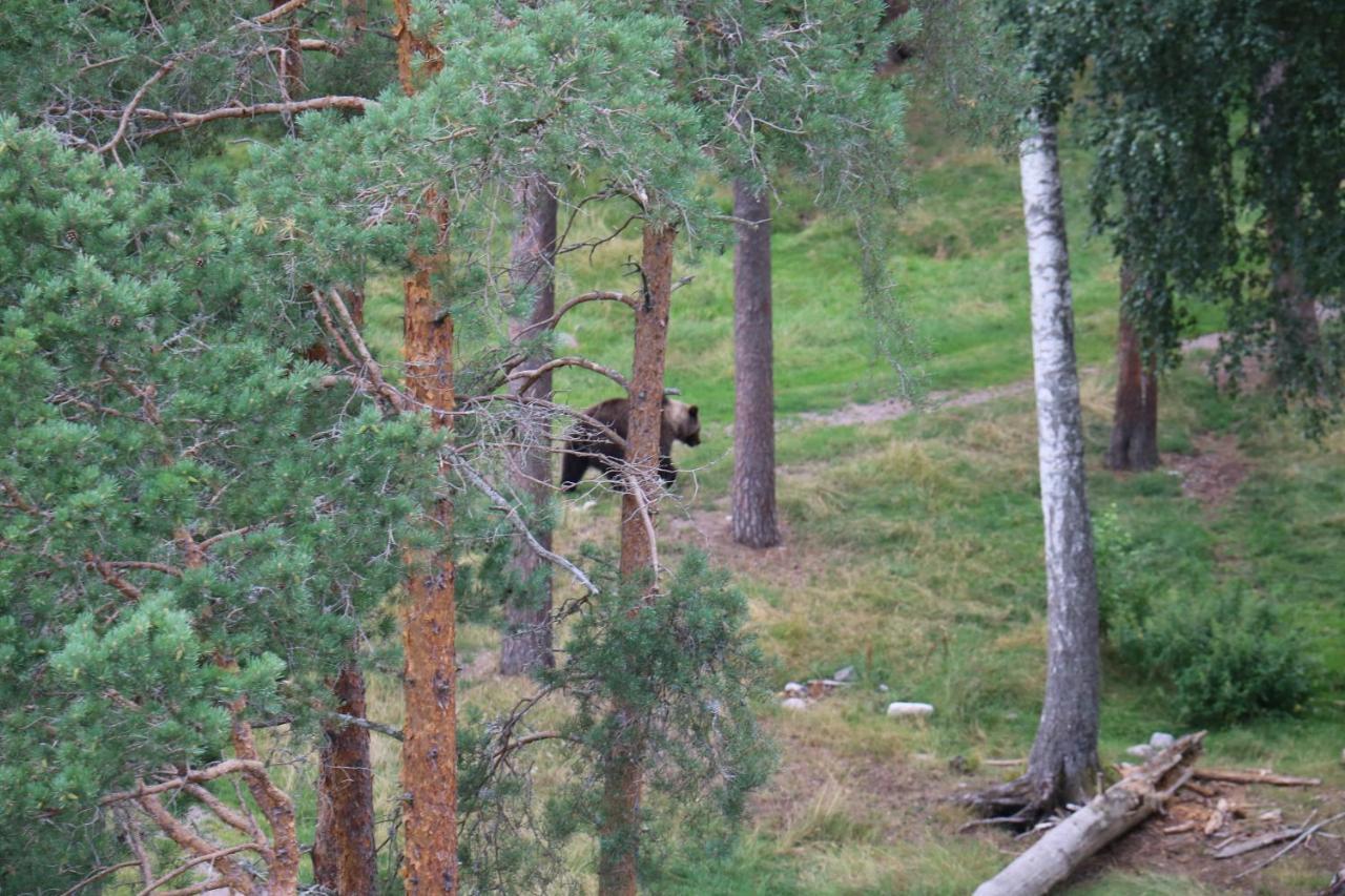 Bograngen Lgh C Apartman Brograngen Kültér fotó